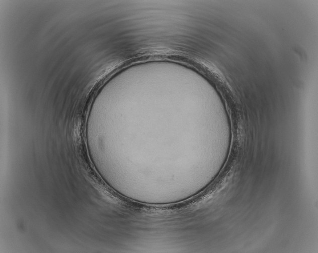 X0000110990873200907101429