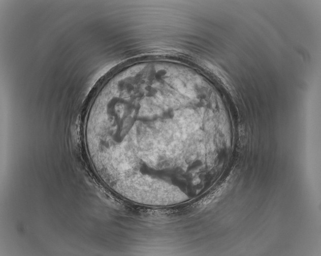 X0000110990875200907101428
