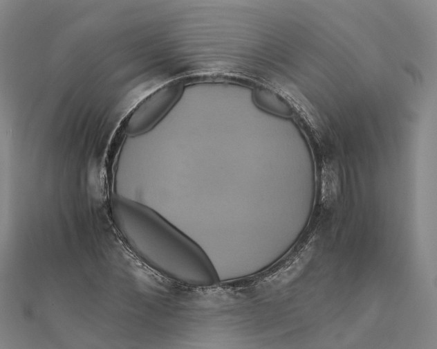 X0000110990876200907101428