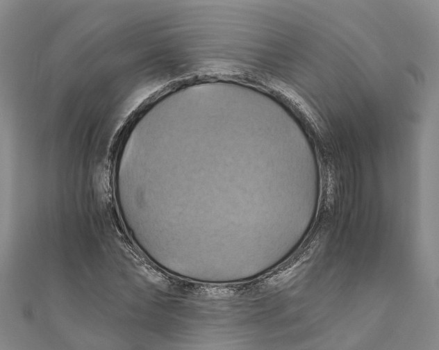 X0000110990878200907101428