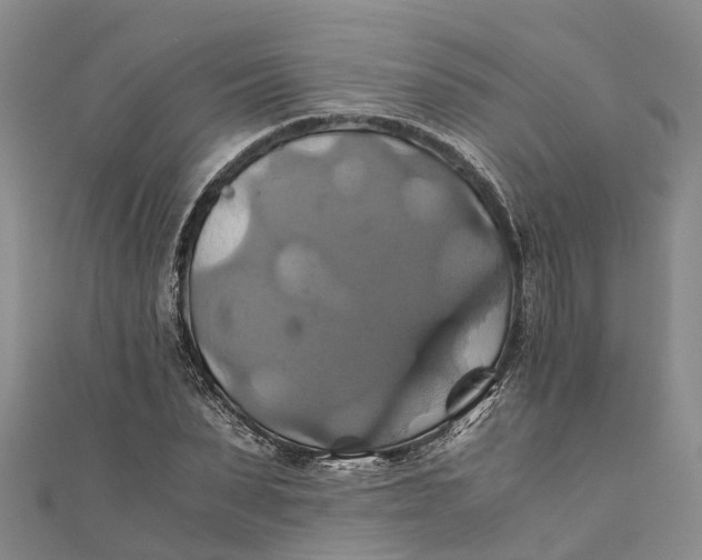 X0000110990879200907101428