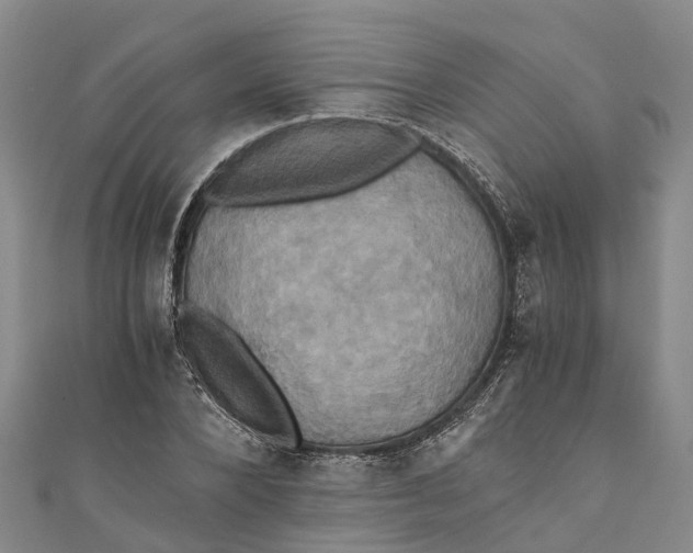 X0000110990880200907101428