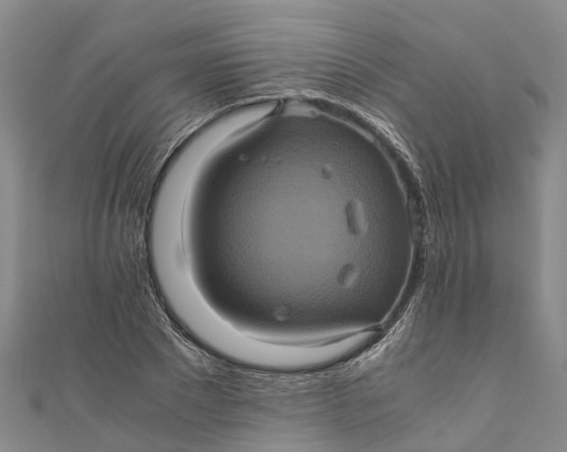 X0000110990881200907101428