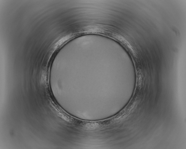 X0000110990882200907101428