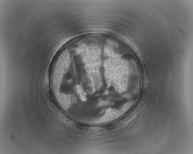 X0000110990883200907101428