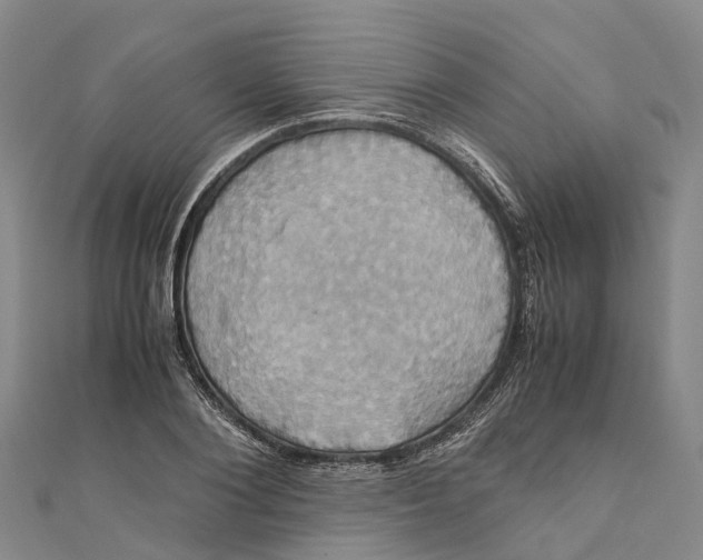X0000110990884200907101428