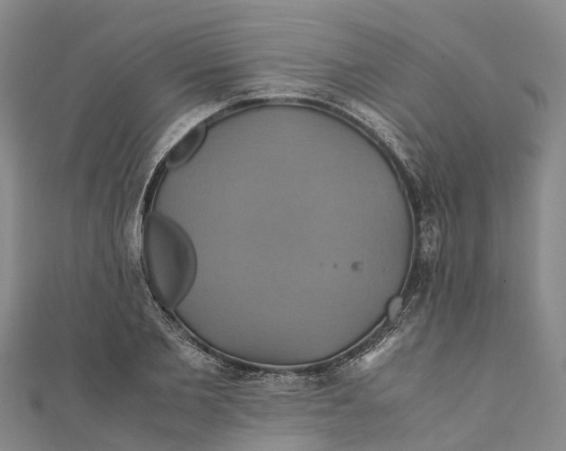 X0000110990885200907101428