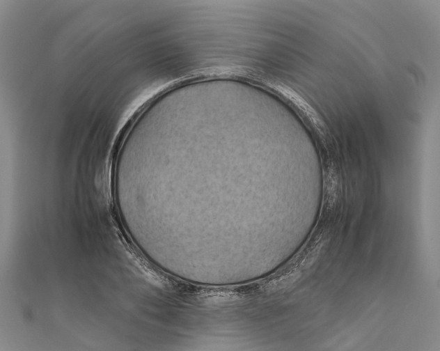 X0000110990886200907101428