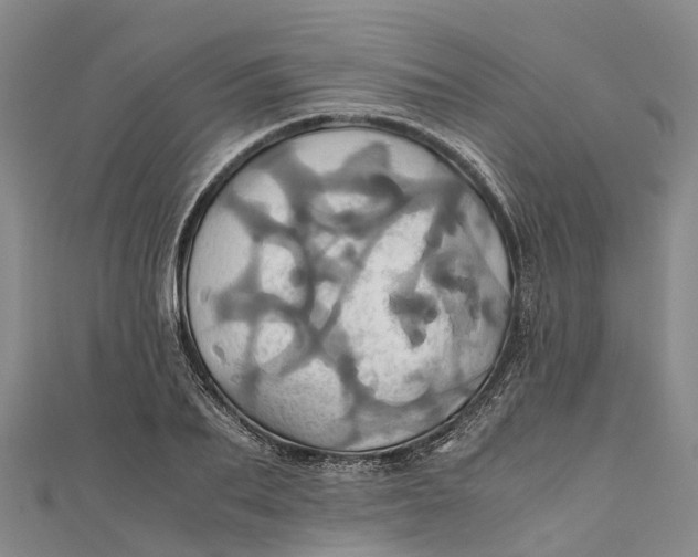 X0000110990887200907101428