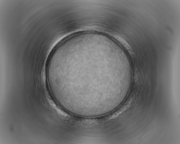 X0000110990888200907101428
