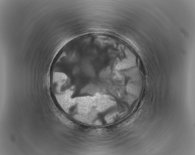 X0000110990891200907101428