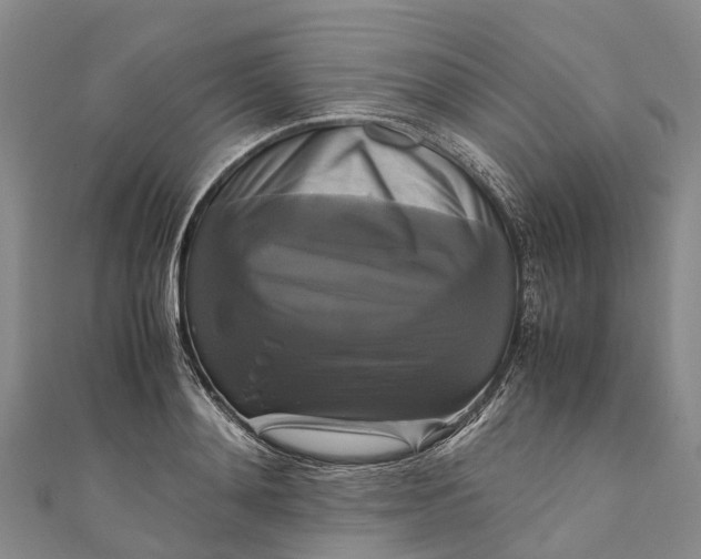 X0000110990892200907101428