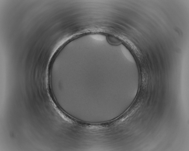 X0000110990894200907101428
