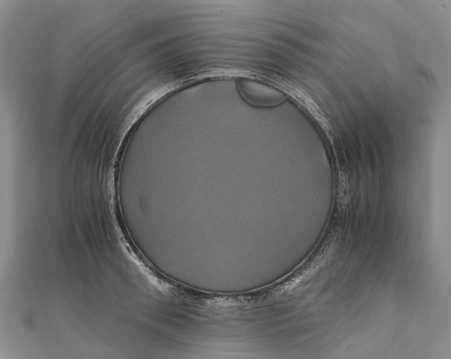 X0000110990898200907101428