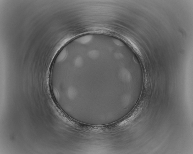 X0000110990899200907101428