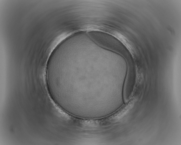 X0000110990901200907101428