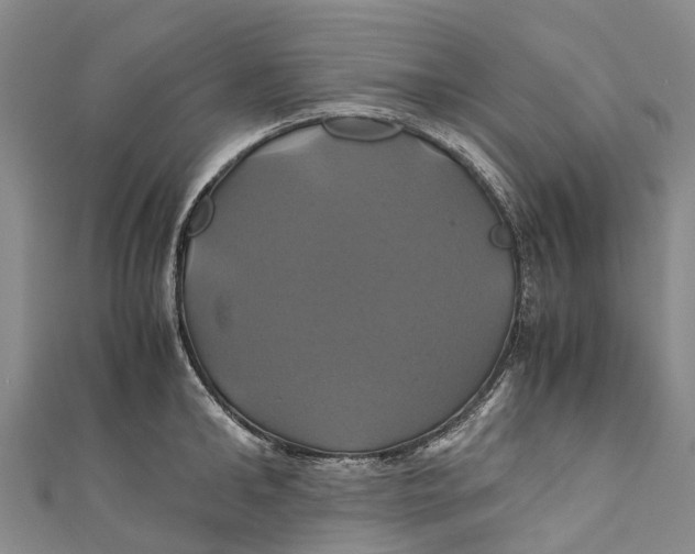 X0000110990902200907101428