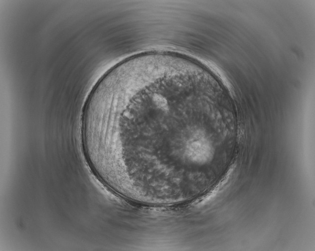 X0000110990903200907101428