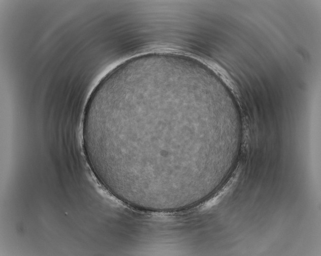 X0000110990904200907101428