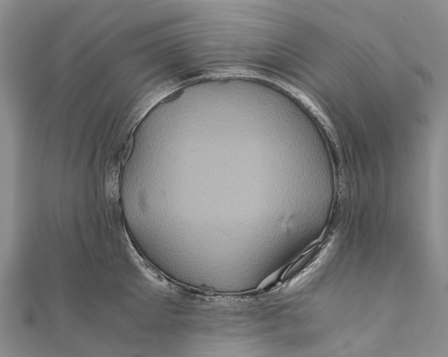X0000110990905200907101428