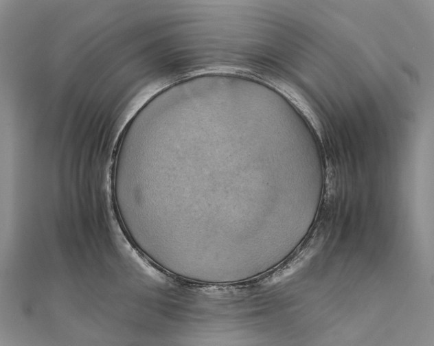X0000110990906200907101428