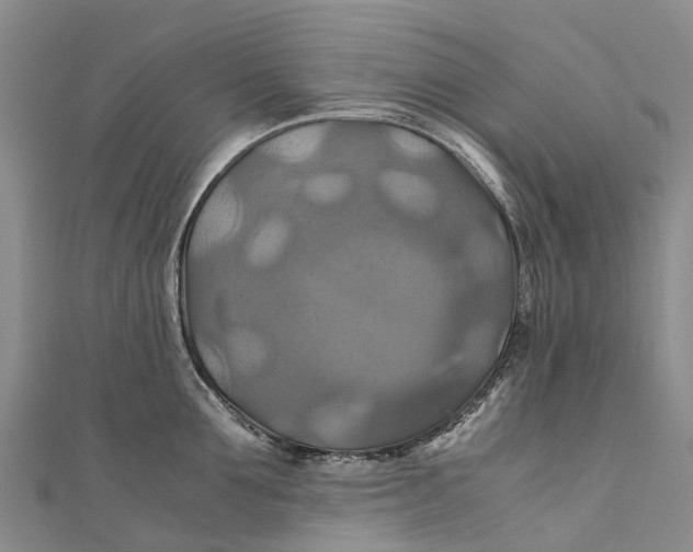 X0000110990907200907101428