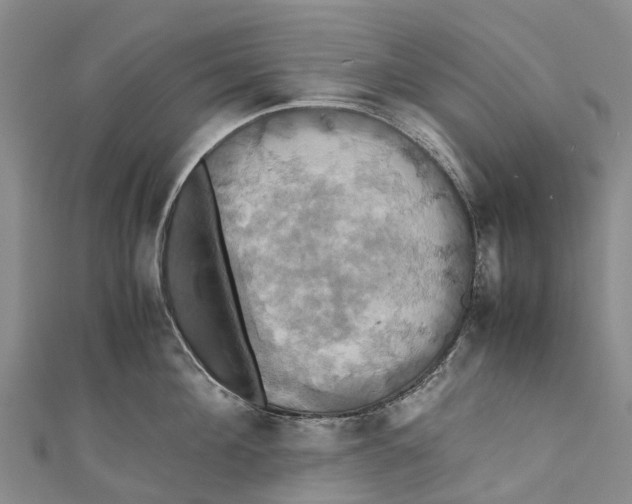 X0000110990908200907101428