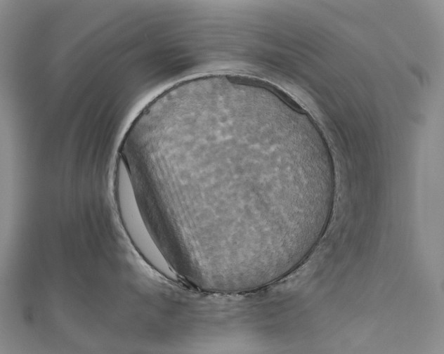 X0000110990912200907101428