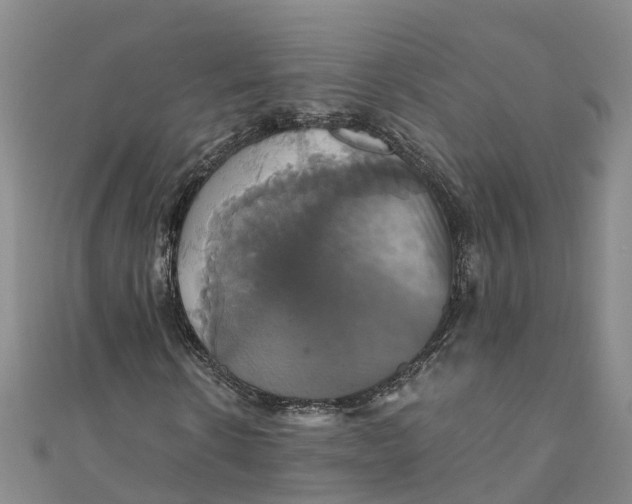 X0000110990914200907101427