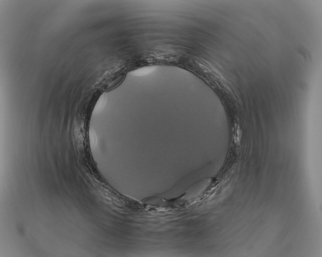 X0000110990915200907101427