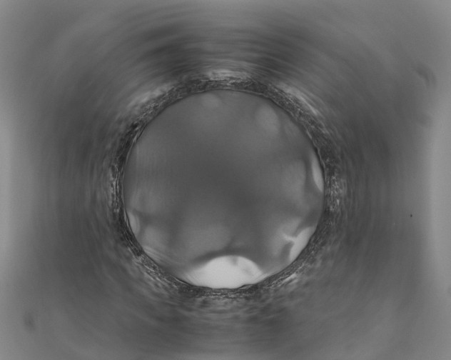 X0000110990917200907101427