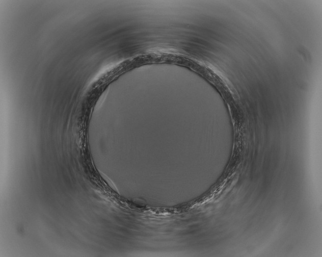 X0000110990919200907101427