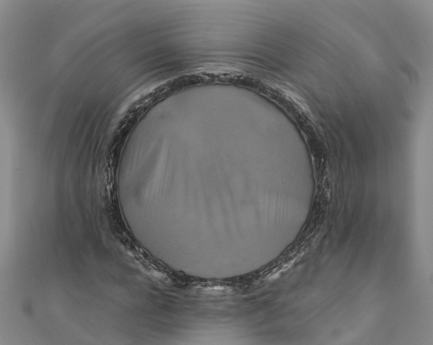 X0000110990920200907101427