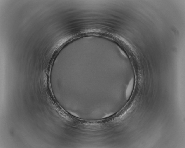 X0000110990921200907101427