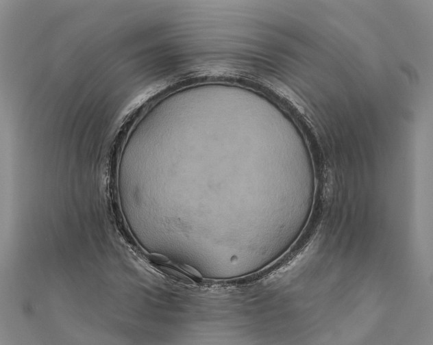 X0000110990922200907101427