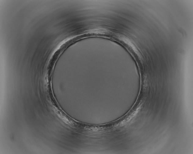 X0000110990923200907101428