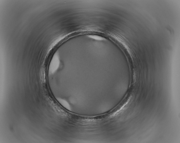 X0000110990925200907101428