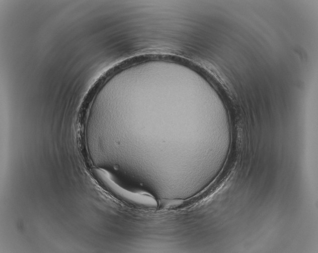 X0000110990926200907101428