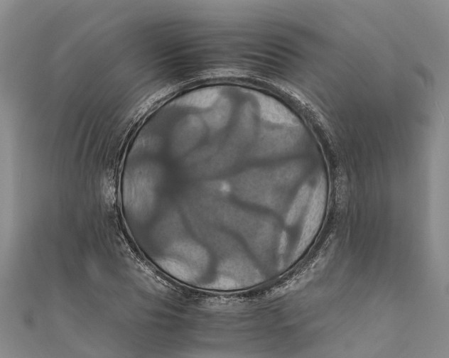 X0000110990929200907101428