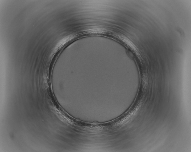 X0000110990930200907101428