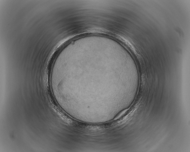 X0000110990931200907101428