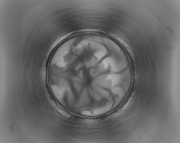 X0000110990933200907101428