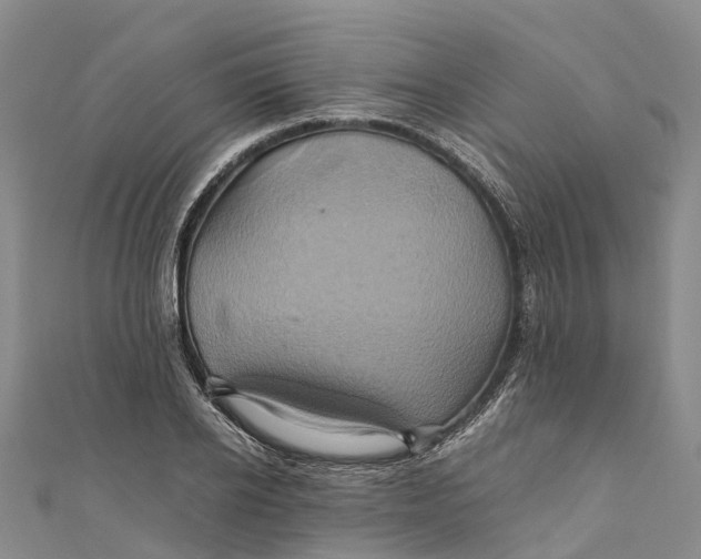 X0000110990934200907101428