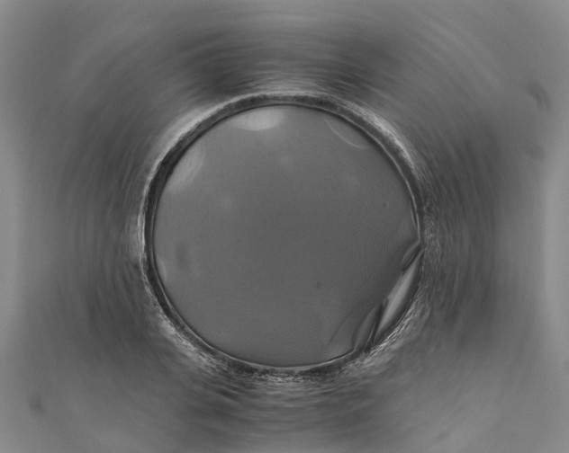 X0000110990935200907101428