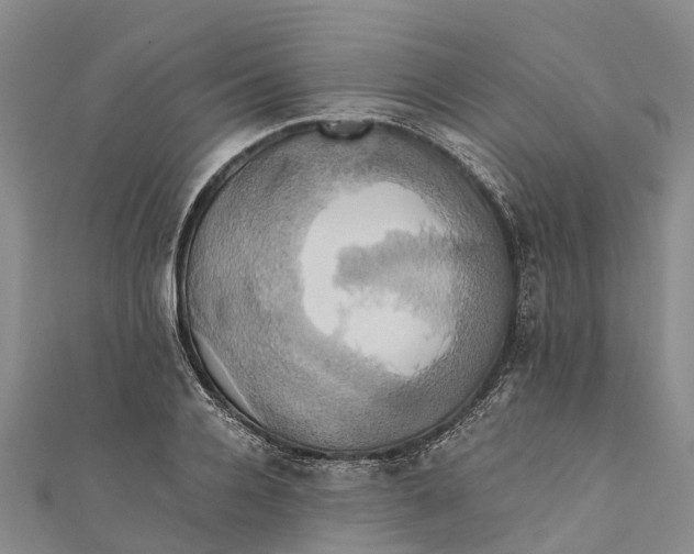 X0000110990936200907101428