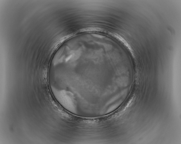 X0000110990937200907101428