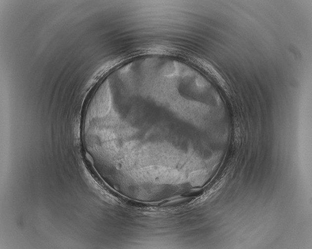 X0000110990938200907101428