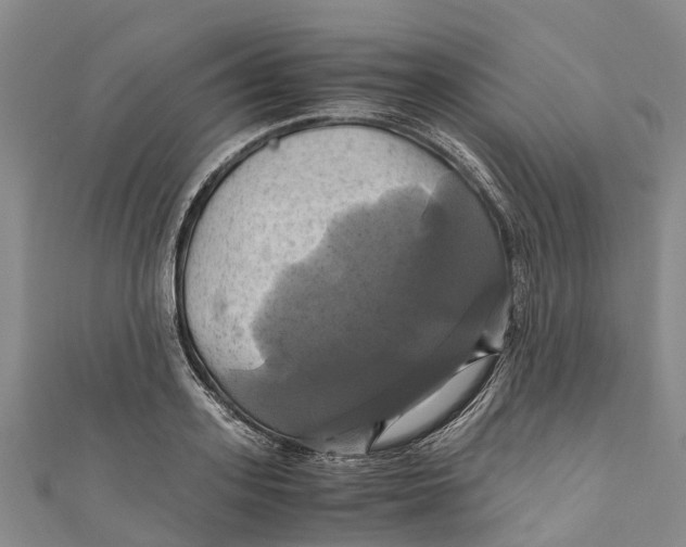 X0000110990939200907101428