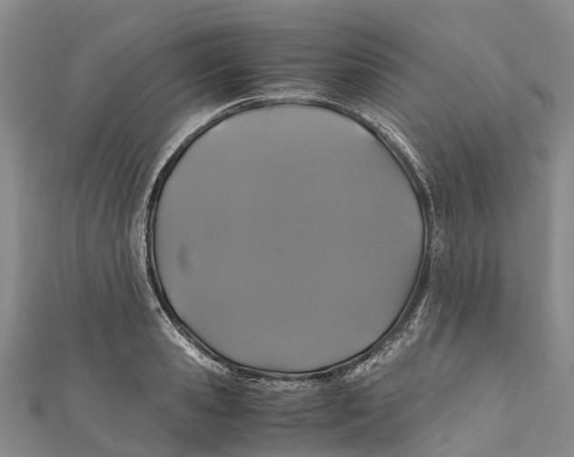 X0000110990941200907101428