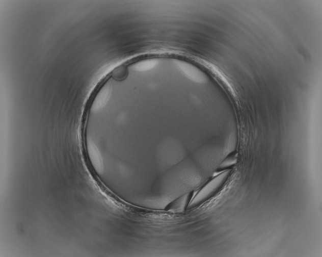 X0000110990943200907101428